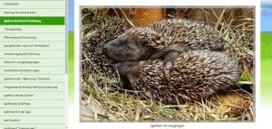 Quelle: http://www.igelverein.de