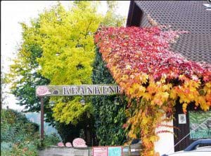 Quelle: http://www.igelverein.de Igelkrankenhaus