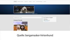 bergamasker-hirtenhund