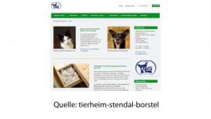 tierheim-stendal-borstel